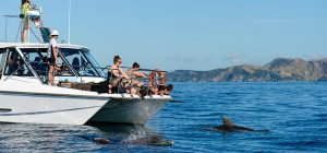 Adventure holiday itinerary Bay of Islands