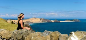 Relaxation Holiday Itinerary Bay of Islands