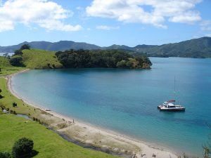 Carino Sailing and Dolphin Adventures, Bay Of Islands
