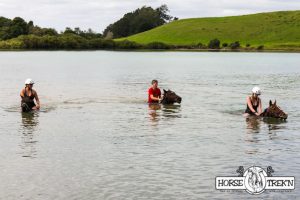 Horse Trekn NZ - horse riding in deep water