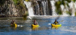 Bay of Islands Kayaking - Fun Water Activities
