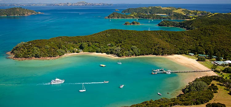 About the Bay of Islands