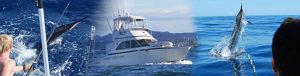 Saltshaker Fishing Charter - Bay of Islands