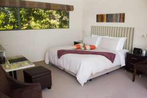 Room at the Allegra House - Bay of Islands