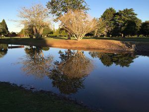 Golf Club Kerikeri Pond