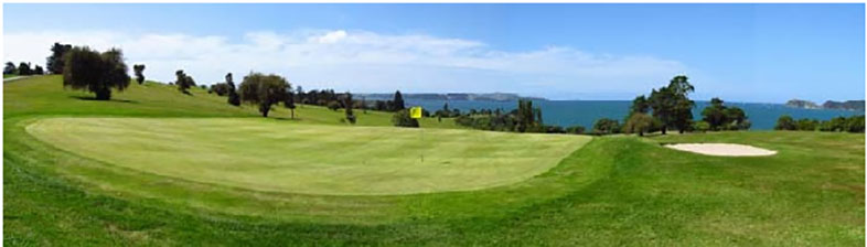 Waitangi Golf Club fairway view