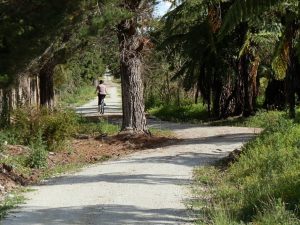 Top Trails Cycle Tour Trail