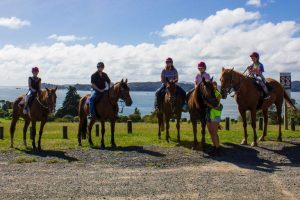 Horse Trekn NZ - Horse Riding group