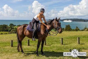 Horse Trekn NZ - Lady on horse