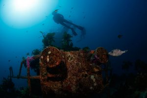 Wreck diving, Bay of Islands