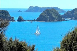 Visit Bay of Islands Boat Landscape