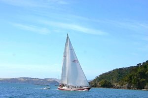 Visit Bay of Islands Boat