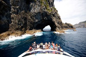 The Cream Trip - Bay of Islands