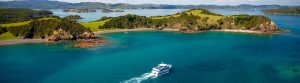Boat-trips-&-Cruises Bay of Islands