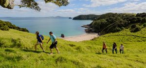 Walks & Hikes - Land Activities Bay of Islands