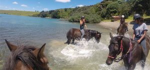 Horse Riding - Land Activities Bay of Islands
