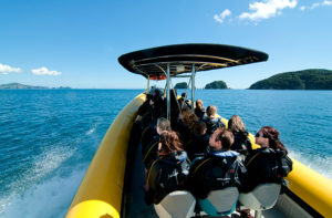 cruise tour group bay of islands