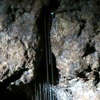Kawiti glow worm caves, paihia bay of islands