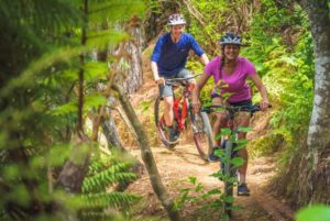 Paihia Mountain Bikes Visit Bay of Islands