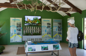 conservation centre, discover the bay, bay of islands