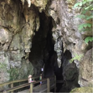 Glow Worm Cave Walk