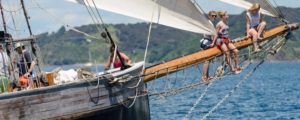 Sailing Charter, Bay of Islands