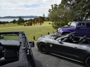 Rogue Pony Tours, Bay of Islands