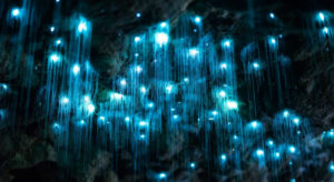 A Glowworm Galaxy. Credit: Science Vibe