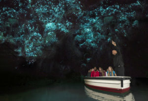 Glowworm boat ride, Waitomo Caves