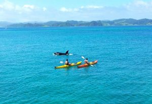 Bay of Islands Kayaking