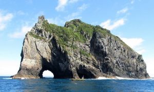 Motukōkako / Piercy Island