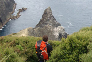 Man on top of Cape Brett Track looking at the sea