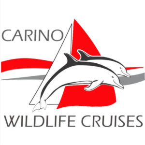Carino Wildlife Cruises - logo