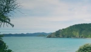 Russel Walks - Visit Bay of Islands .jpg