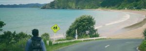 Russel Walks - Visit Bay of Islands
