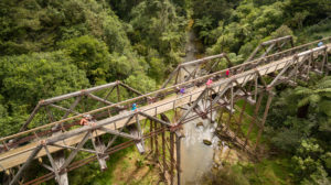 Top Trail Kaikohe Twin Suspension Bridges